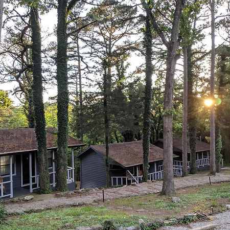 Adventure Cabin 5 - King W Private Hot Tub Vila Eureka Springs Exterior foto